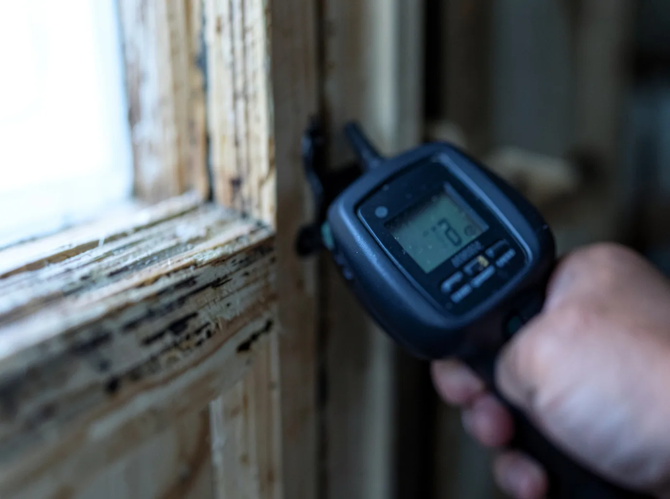 Moisture Inspection And Documentation in Nordman, ID